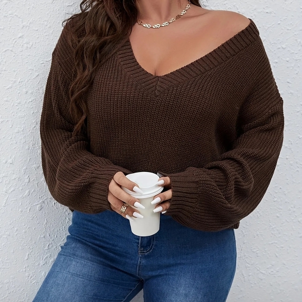Brown V-Neck Sweater NWOT